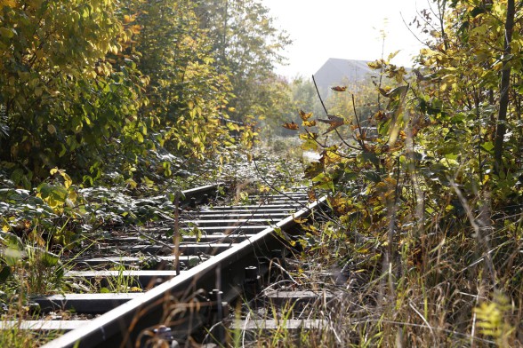 Verwilderte Gleise der Tälesbahn | Foto: Markus Sontheimer, Bericht Geislinger Zeitung Oktober 2012